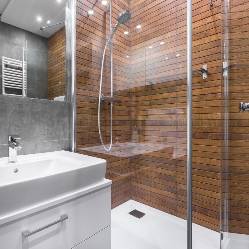 Contemporary Shower with Clear Glass